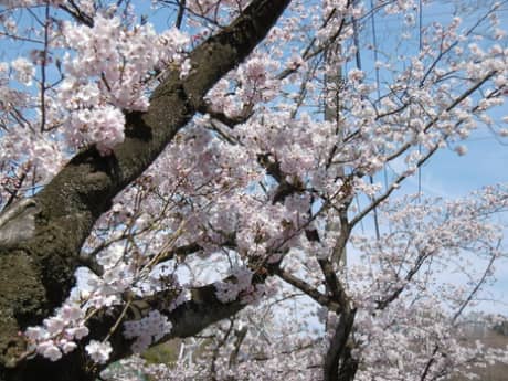 外壁塗装 リピートのご連絡をいただきました! 安心の外壁塗装はぺんき屋美装!! | 塗装の話