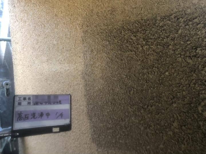 Msama chufu 2020.2.15 chu03.jpg