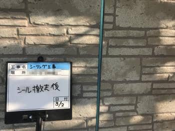 kawasakiishi soreard 2018.3.8 chu031.jpg