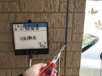 kawasakishi Tsama 2018.4.13 chu003.jpg