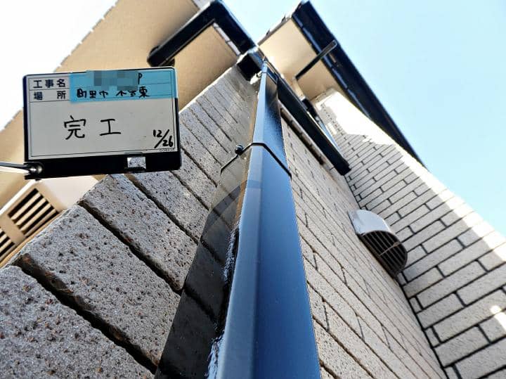 machida Tsama 2020.12.26go008.JPG