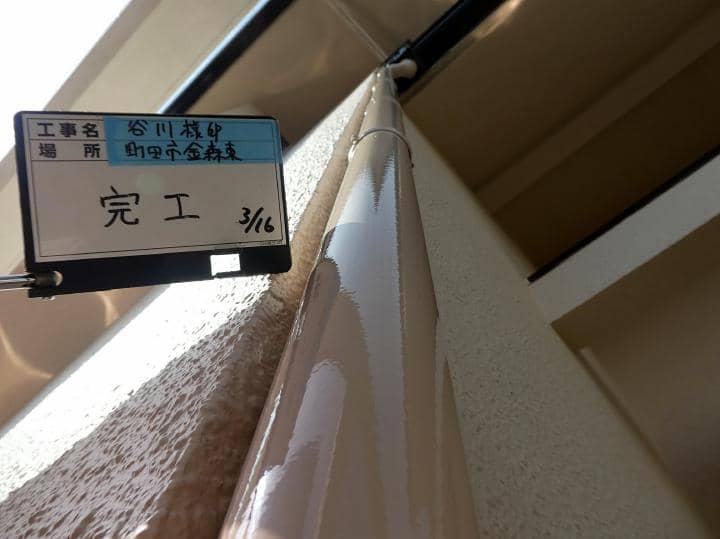 machida Tsama 2021.3.16go003.JPG