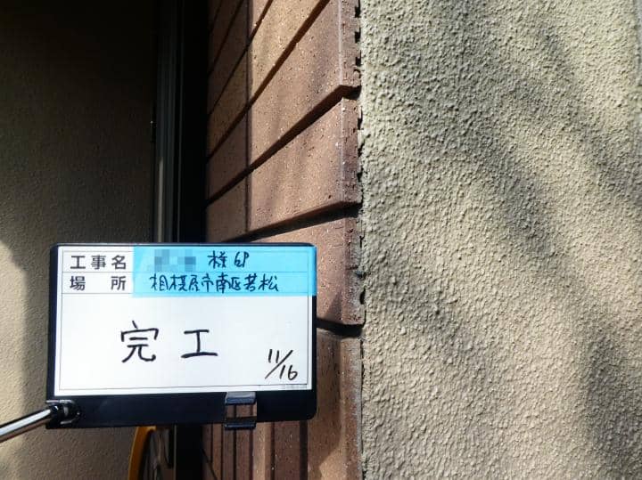 sagami Tsama 2021.11.16go013.JPG