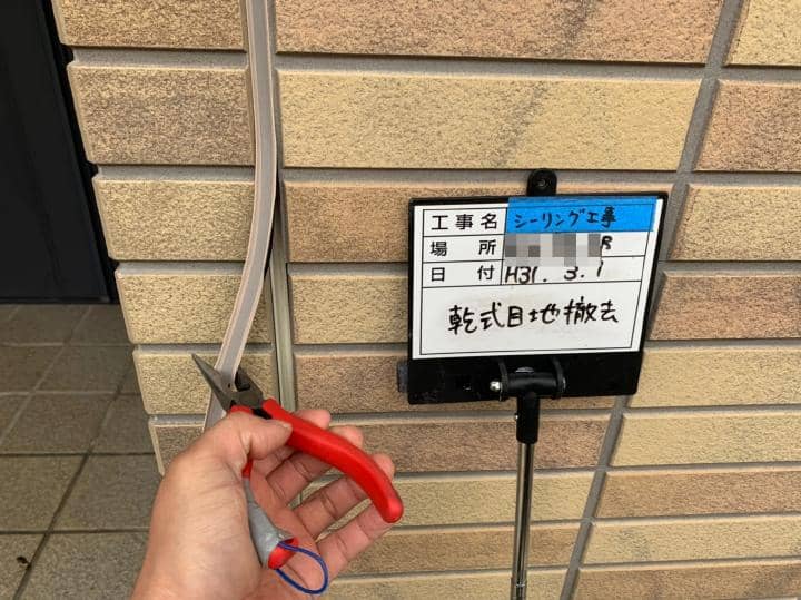 tama Tsama 2019.3.22chu017.jpg