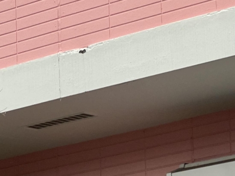 塗装品質を保つためには【お知らせです】 | その他